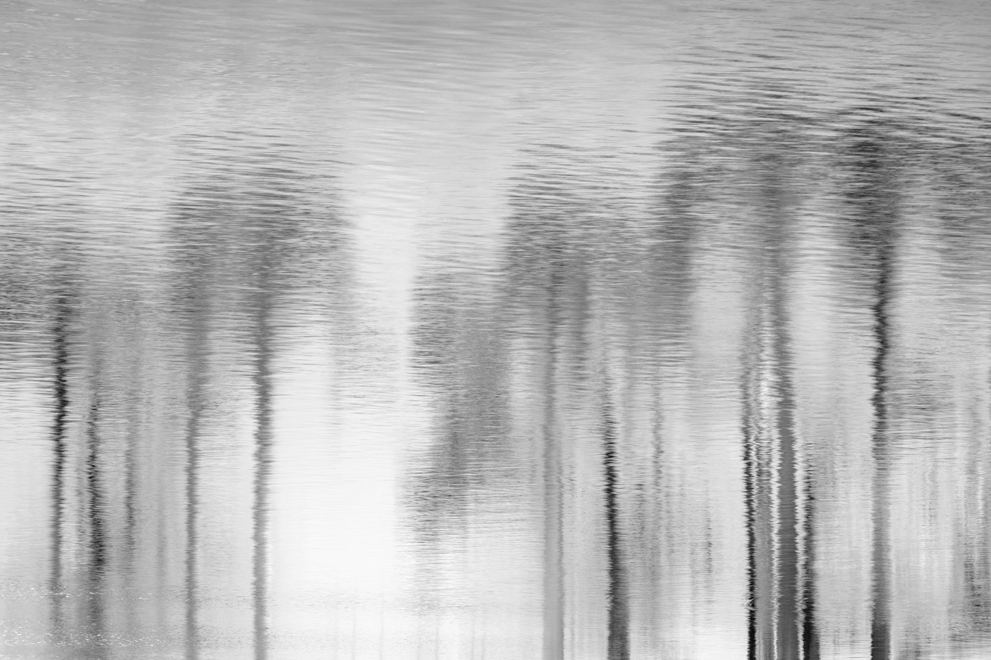 Kate Somervell 3
